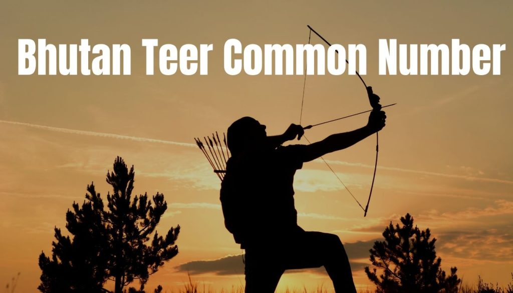 Bhutan Teer Common Number